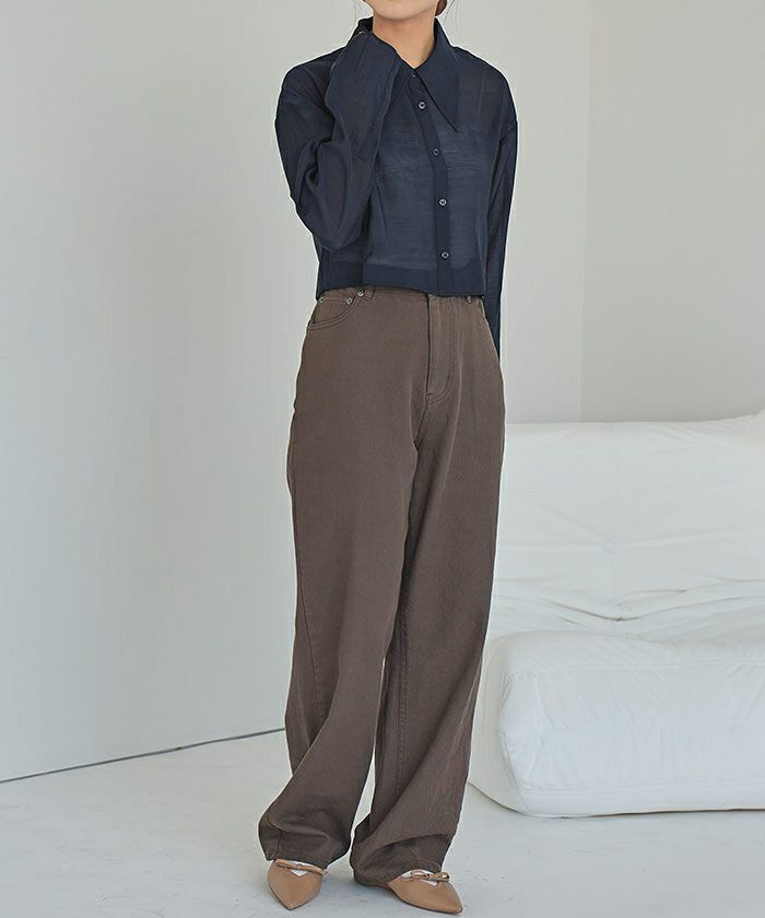 デザイン襟シアーシャツ【メール便可／100】 | titivate