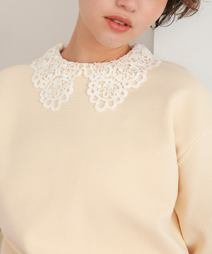 襟付きニットプルオーバー | titivate